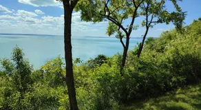 Akarattya Endless Summer Woodhouse - Image 4
