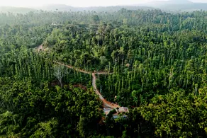 Areca Nut Homestay - Image 5
