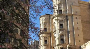 Casa La Victoria - Image 4
