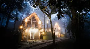 Kings Holidays Munnar - Image 3