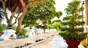 Huong Sen 2 Vung Tau Hotel - Image 5