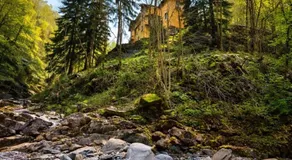 Villa Oro Verde - vicino Cannobio - Image 5