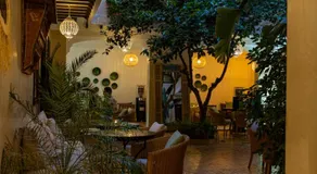 Riad l'Oiseau du Paradis - Image 5