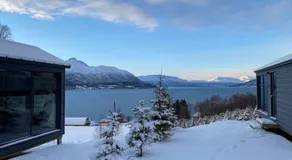 Arctic Sky Sanctuary - Image 4