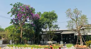 Tone Condorent Hotel - Image 5