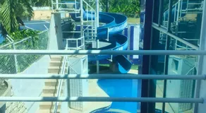 Golden Premium Blue - Image 4