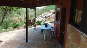 Village Life Studio - Image 3