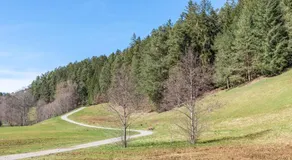 Schwarzwald Wölkchen - Image 3