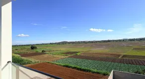 Lúa Vàng homestay - Image 5