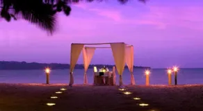 Wild Orchid Resort - Havelock Island - Image 5