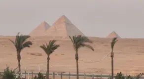 Pyramids Gardens - Image 5