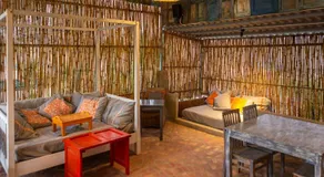 Chilli Fields - Image 3