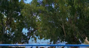 Στούντιο με θέα τη θάλασσα - Image 3