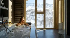Bergman Mountain Hotel - Image 3