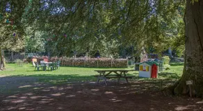 Chambres d'hôtes Domaine des Iris - Image 4