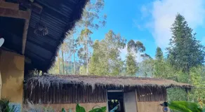 Dong van hmong homestay - Image 5