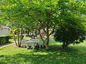 Les Collines Khaoyai Resort - Image 5