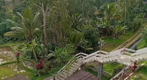 The living glamping and homestay - Image 4