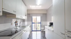 Green Executive Apartment in the heart of Lisbon - Image 5