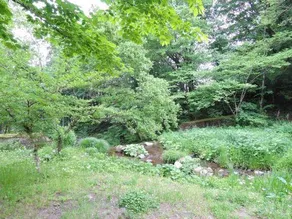 Pension Shanker - Image 2