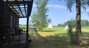 Birch house - Image 3