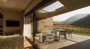 Trianglhof surrounded by vineyards - Image 4