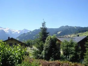 Chalet Flöschhorn - Image 3