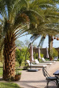 Kasbah des cyprès - Image 4