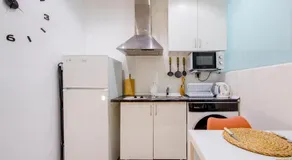 Private Embajadores Apartment - Image 3