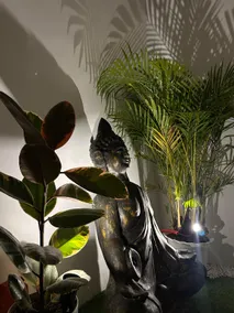 S'Bali Airbnb - Image 5
