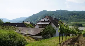 Weingut & Gästezimmer Pammer - Image 4