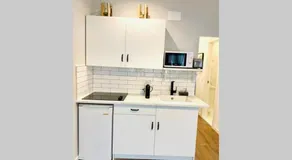 Begonia Studio 119 - Image 5