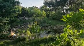 Wellspring - Image 4