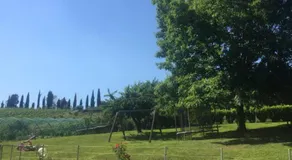 B&B” La Tezza” - Image 3