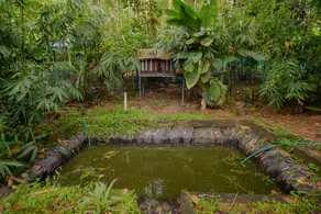 Niranjans Coconut Cottage - Image 5