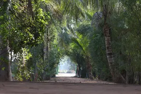 Visamo Nalsarovar Resort, Ahmedabad - Image 4