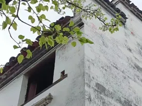 Jiangling Guesthouse - Image 4