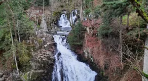 Le lorrane - Image 5