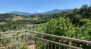 Il Casolare degli Alburni - Image 3