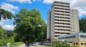 Ferienwohnung Vogelnest mit weitem Blick über den Schwarzwald - Image 3