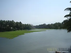 Cotsvilla Topslip - Image 4