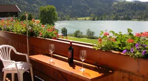 Haus Seeblick am See - Image 4