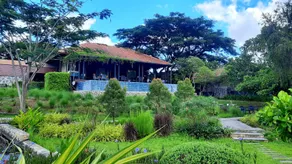 Private Villa by Doctor Coffee - Image 4