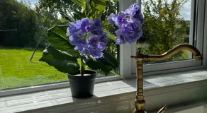 Butterfly Guesthouse - Entire Home within 5km of Galway City - Image 3