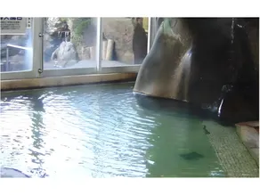 Shikabe Onsen Hotel Shikanoyu - Image 4