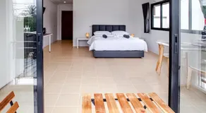Stay White Orchid - Image 2