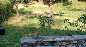 Les Oliviers - Image 2