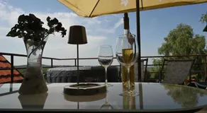 Villa Popovic - apartments Fruska gora - Image 3