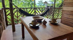 Rainforest Hut - Image 3