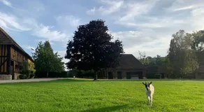 Aile Privee Au Sein D'Un Haras - Image 4